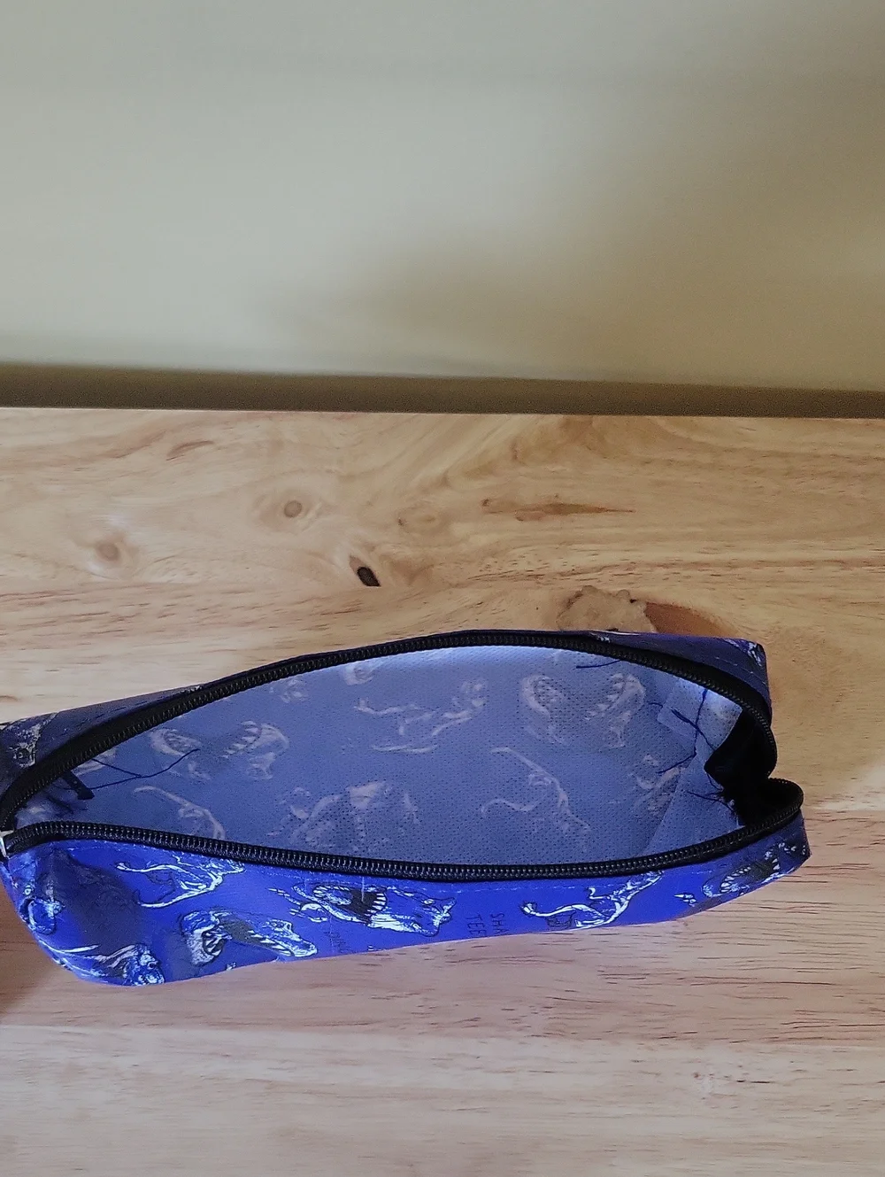 Kids Dinosaur Pencil Cases